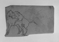 Image for Tracing of a Sketch of Horses Mating
