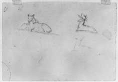 Image for Studies of doe and stag lying down (a)