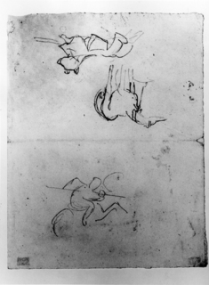 Image for Studies of Dogs and a Man