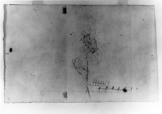 Image for Study of a hand;measured draw.of horse