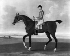 Image for Horse Portrait Of "Flying Childers"