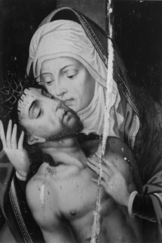 Image for The Dead Christ in Arms of Mary