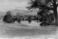 Image for Petworth Park