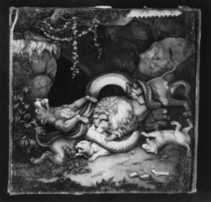 Image for Lions and a Snake
