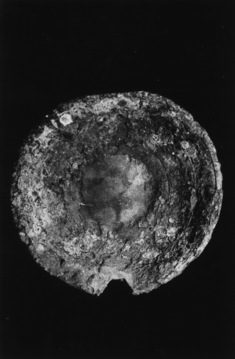 Image for Base of a Bowl