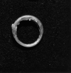 Image for Ring