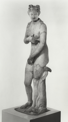 Image for Venus of the "Capitoline Venus" Type