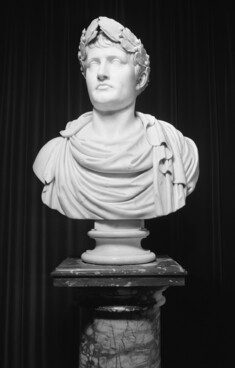 Image for Bust of Napoleon