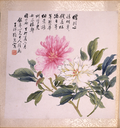 Image for Peonies