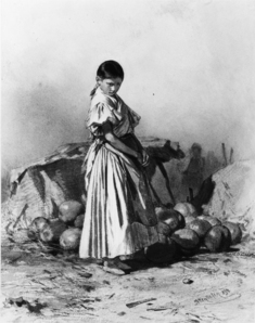 Image for Peasant Girl With Melons