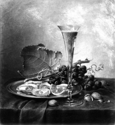 [Image for Johann Wilhelm Preyer]