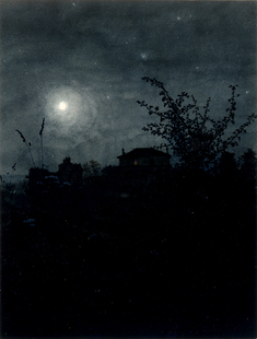 Image for Hawthorn Trees in front of a Nocturnal Landscape with Houses in the Background