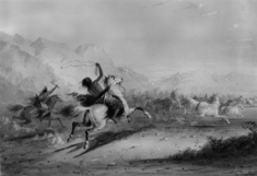 Image for Capture of Wild Horses by Indians