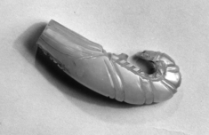 Image for Knife Handle in the Shape of a Shrimp