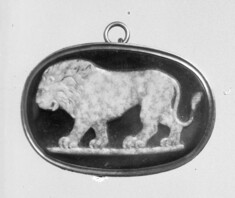 Image for Cameo with a Lion