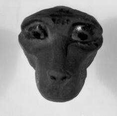 Image for Head of a monkey