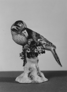 Image for Woodpecker