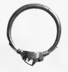 Image for Ring with a Fixed Bezel