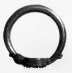 Image for Ring with a Fixed Bezel