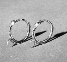 Image for Pair of Earrings