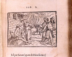 Image for Historiarum Veteris Testamenti icones ad vivum  expressae : una cum brevi, sed quoad fieri potuit, dilucida earundem & Latina & Gallica expositione.
