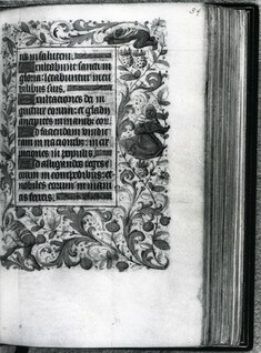 Image for Illum.borders;drolleries,grotesques;gold