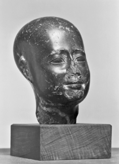 Image for Idealized Head of an Egyptian Official