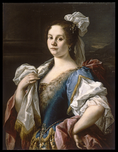 Image for Portrait of a Noblewoman