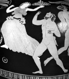 [Image for Herakles Painter]