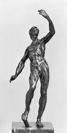 Image for Anatomical Figure of a Man