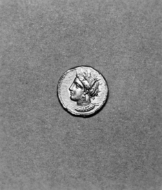 Image for Stater of Carthage