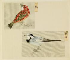 Image for Leaf from Album Depicting Small Birds