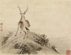 Image for Stag