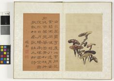 [Image for Yu Minzhong]