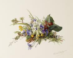 Image for Bouquet of Wildflowers