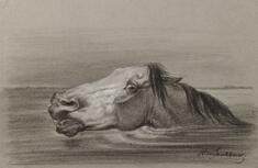 Image for Head of a Swimming Horse