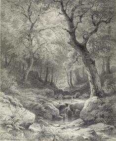 Image for Forest Scene