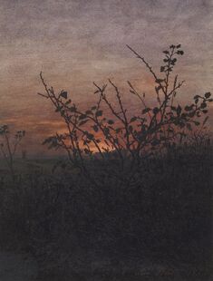 Image for Blackthorn (?) in front of a Landscape at Sunset