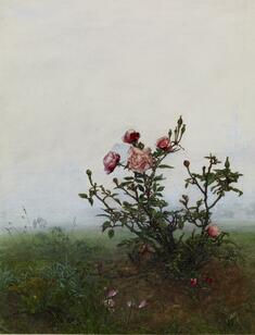 Image for Rose Bush in front of a Landscape