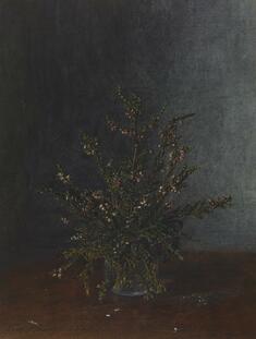 Image for Vase of Heather