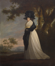 Image for Portrait of a Lady Wearing an Elaborate Hat