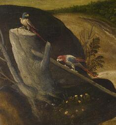 [Image for Girolamo da Santacroce]