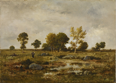 Image for Effect of Autumn, Fontainebleau