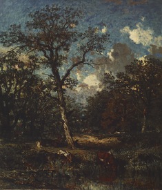 Image for The Old Oak
