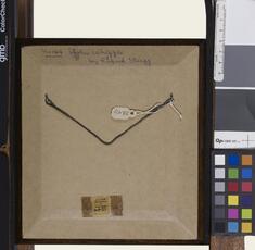 [Image for Richard Morrell Staigg]