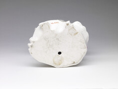 [Image for Derby Porcelain Factory]