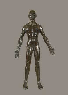 Image for Anatomical Figure of a Man
