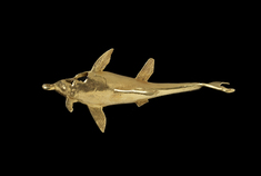 Image for Shark Pendant