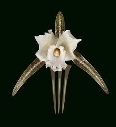Image for Orchid Comb
