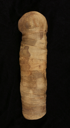 Image for Mummified Cat